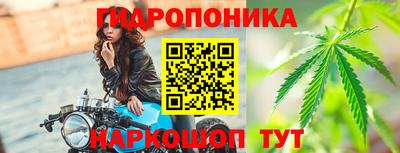 шишки Ирбит
