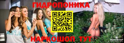 шишки Ирбит